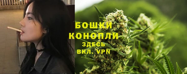 трава Беломорск