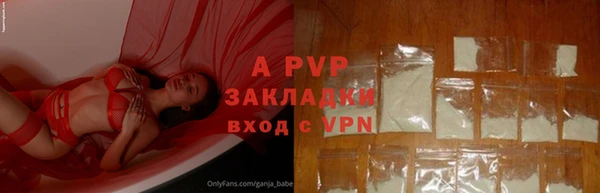 PSILOCYBIN Семикаракорск