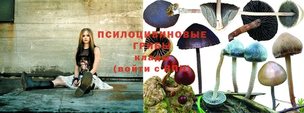 спайс Белоозёрский